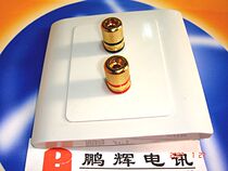 Chint socket high quality two hole professional speaker banana socket wall panel (socket gold plated)