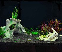 Special clearance fish tank fish tank landscape reptile landscape water grass landscape simulation dinosaur skull pot