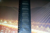 Hot sale MAXIM chip MAX3185EWP original spot first inquiry and then pat IC IC alarm IC