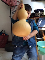 Extra large natural gourd Zhaocai Town House Wenplay play steady sitting Shanxi big gourd home feng shui gourd ornaments