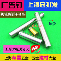 Manufacturers wholesale iron chrome hollow solid stainless steel advertising nails decorative nails advertising screws glass nails mirror nails