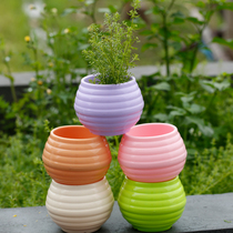 Balcony plastic fleshy flowerpot creative lazy flowerpot anti-ceramic meat plant pastoral art resin flower cylinder