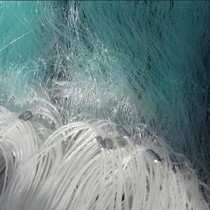 Factory direct fishing blue imported wire mesh high-quality shrimp tiger net mantis shrimp sticky net shrimp mantis net shrimp net crawling shrimp