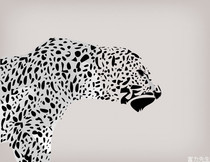 South Korea Shinhan wallpaper wallpaper murals M1109-1 M1110-1 M1111-1 M1111-2 M1112-1