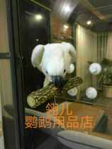 Imported acrylic sucker station parrot stand out station stand parrot Sunflower Diamond Diamond special price