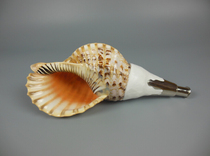 True language King Kong Pestle Tang Mifa of the Tang Myitong Law Snail Fidelity Method Snail Buddhism Pharoism Laws Snail Pharoism