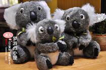 Australian original single Tourist Remembrance Mascot Cowra tree Bag Bear Plush Paparazzi three dimensions 0138