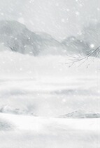 Plate woman costume background paper photo studio costume painting background costume painting background ancient costume photo background PZ-1270