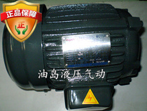 Hydraulic station Hydraulic system Inner shaft hydraulic motor Motor Oil pump motor 0 75KW 1HP