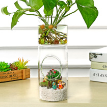 Straight tube hydroponic glass vase micro landscape creative fish tank hydroponic plant vase office shop wall decoration