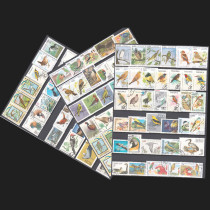 Foreign Stamps Birds Songbird Stamps 100 Non-Repeated Large Topic Stamps Full 100