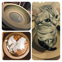 Pet bowl type cat scratch board cat toy corrugated paper claw cat catch box round cat catch cat supplies