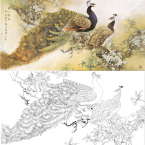 Meticulous painting Hatch draft banner Peacock hook line physical print manuscript 66*126 with color picture 096T