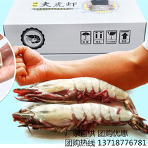 Jimei fresh Burmese tiger shrimp Gift Box 489 type frozen fresh seafood Mid-Autumn Festival gift group purchase