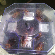 Cockroach device Large Cockroach trap Cockroach trap Cockroach trap environmental protection 2
