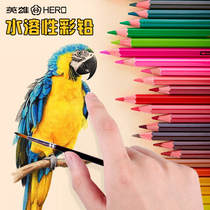 Color pencil hero set 36 48 72 color hand-painted secret garden coloring brush professional water-soluble color lead