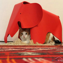 Special Price Creative Children Plastic Chair Elephant Stool Changing Shoes Stool Designer Chair Kindergarten Toy Small Elephant Chair