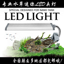 Water plant LED small clip light ~ Aquarium light~Waterproof light~Grass tank water and land tank light~Mini water plant clip light
