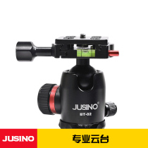 Jia Xinyue photography SLR camera BT-02 professional ball pan tilt