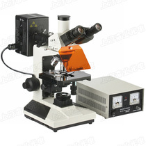 Three-Mesh Downshot Fluorescence Microscope ZL200FT BG Fluorescence Excitation Group