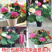 Ultra-low price simulation flowers fake lotus Lotus Lotus plastic water scenery for Buddha flower living room decorative art flower arrangement