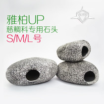 Taiwan Yabo Cichlidae special stone bream pot pottery pot stone jingsanhu fish tank set F924