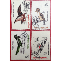 Bird stamps Foreign stamps Fowl stamps Fowl stamps registered mail of surface postal reference