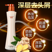 Kaiqi ginger AI control oil dandruff anti-itching for men and women without silicone oil moisturizing shampoo silky shampoo conditioner