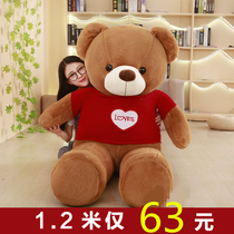 Bear bear doll Cuddle bear Girl Teddy Bear Birthday bed cute Panda 1 6 Plush toy bear