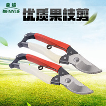 (Hot sale) Red plum fruit branch pruning shears fruit tree scissors branch shears