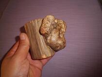 Thuja weathered material tumor flower (sarcoma) base tumor monkey type fine S pattern rare best (sold)