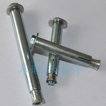 Galvanized expansion screw hexagonal inner expansion M10 * 80100120m m