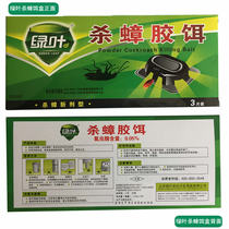 Green leaf cockroach killing cockroach cockroach medicine bait box attractant household waterproof safety trap house patch to remove cockroaches