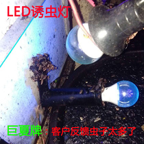 Red Pepper UV lamp V Banknote Stage Firming photo-catalyst except formaldehyde 36W Agricultural Black Light Trapping Light