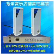 Outdoor waterproof sound column sound broadcasting loudspeaker 30W hanging wall-mounted speaker 2 only and 1 100W power amplifier suit