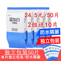 50 blue and white disposable toilet pad cushion paper Travel maternity toilet pad waterproof toilet toilet paper