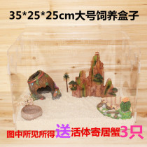 Land Host Crab Pet Living Spectator Suit With Rearing Box Mini Cute Climbing Darling Crab Bag Live