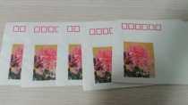 1982 Chrysanthemum Pattern 1 Old envelope Jinzhou Printing factory