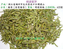 Gu Zhu purple bamboo shoots 2016 pre-Ming premium green tea source: Gu Zhu Mountain supply Tang Song Yuan and Ming four Dynasties tribute tea