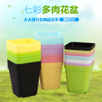 Jinnong planting small square pot black square 7 square pot plastic flowerpot fleshy flowerpot thickened potted whole new material