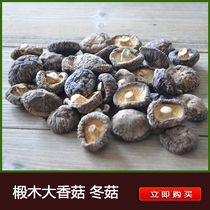 2017 New dried mushroom mushroom Golden Mushroom super small shiitake mushroom meat thick mushroom 250g specialty 2 pieces