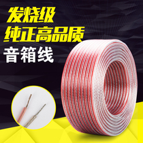  SAST Xianke S01 special audio cable Speaker cable Fever oxygen-free copper speaker amplifier cable 300 cores