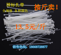 Full-spec self-locked nylon strap plastic tie to sell colored black white