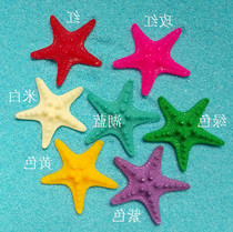 Little overlord starfish steamed buns starfish specimen 5cm shell conch fish tank Platform Home wedding decoration