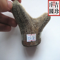  Jilin Sika deer antler Dried antler Whole antler Whole antler piece blood piece wax piece Semi-wax piece whole branch 1g