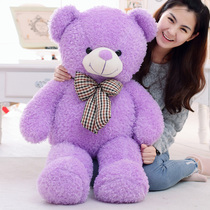 Jane Eyre bear Teddy Bear doll Cute hug panda doll Ragdoll plush toy Birthday gift for girls