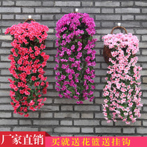 Artificial violet flower fake flower wall hanging orchid flower hanging basket flower silk flower Plastic balcony balcony decorative flower vine green plant