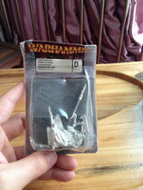 Little Maizi Different News Record Warhammer Middle AOS Golden Chaos Warlock Limited Edition