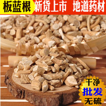 Root of the root of the anti-heat and anti-sulfur 500g herbal medicine poison Isatis Root Piece of Isatis India powder Tea Root