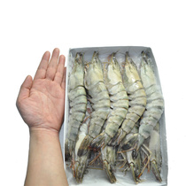 Ju Xianpin Vietnam imported tiger shrimp 1000g A total of 10 large prawns big grass shrimp big meat fat